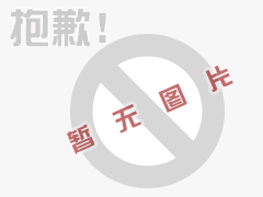 上升星座王